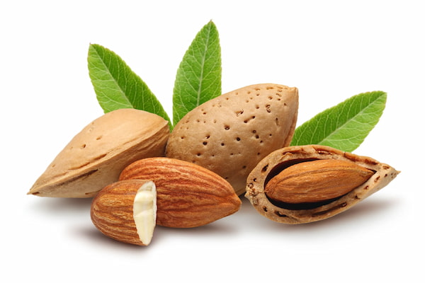 تصویر 3 از خرید مغز بادام درختی + قیمت فروش استثنایی